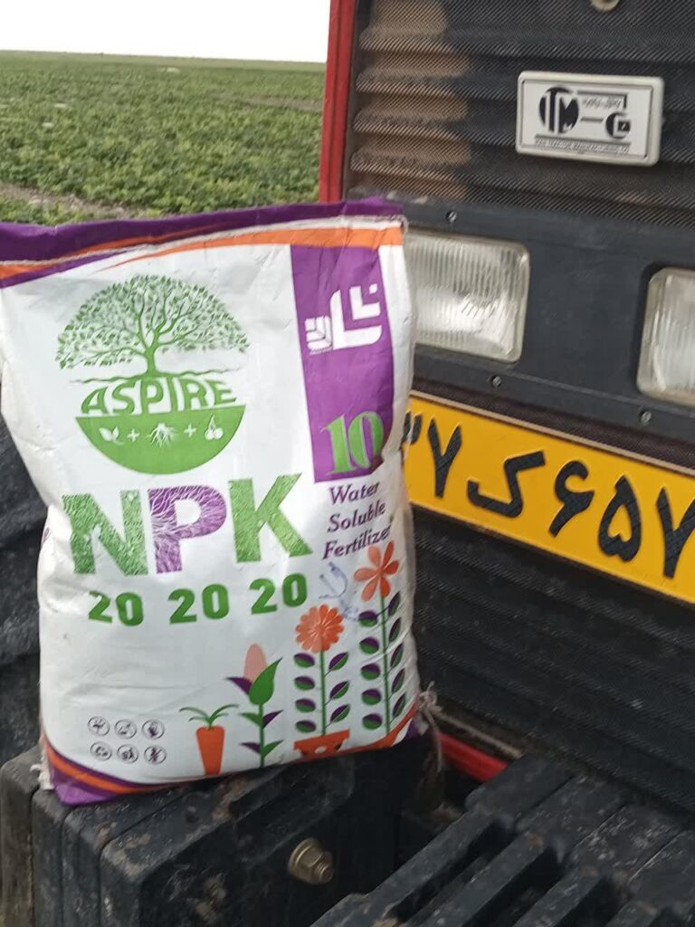 IMG_20251102_133316_684