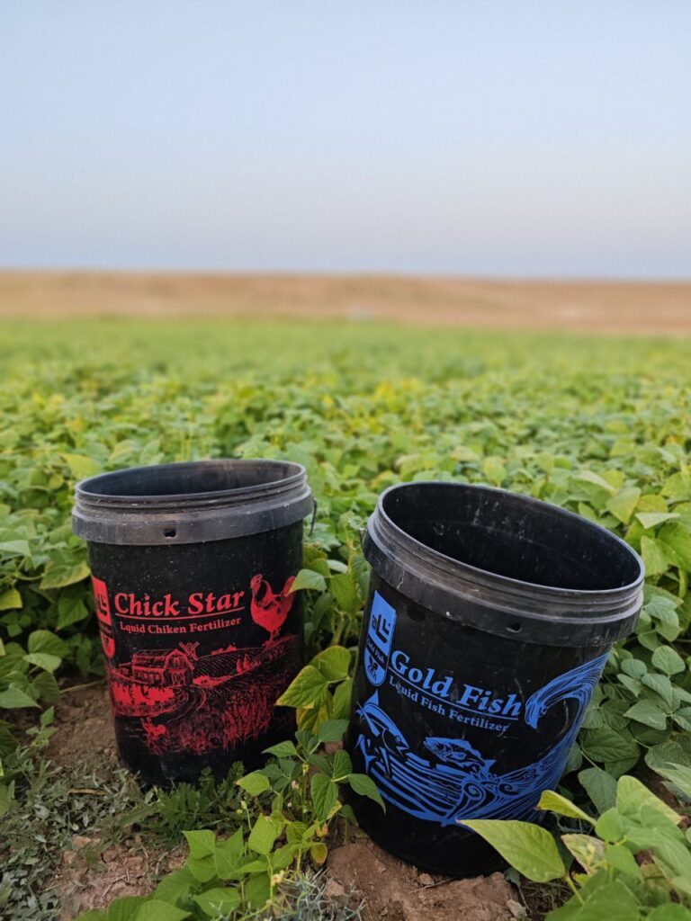 IMG_20251102_134840_598