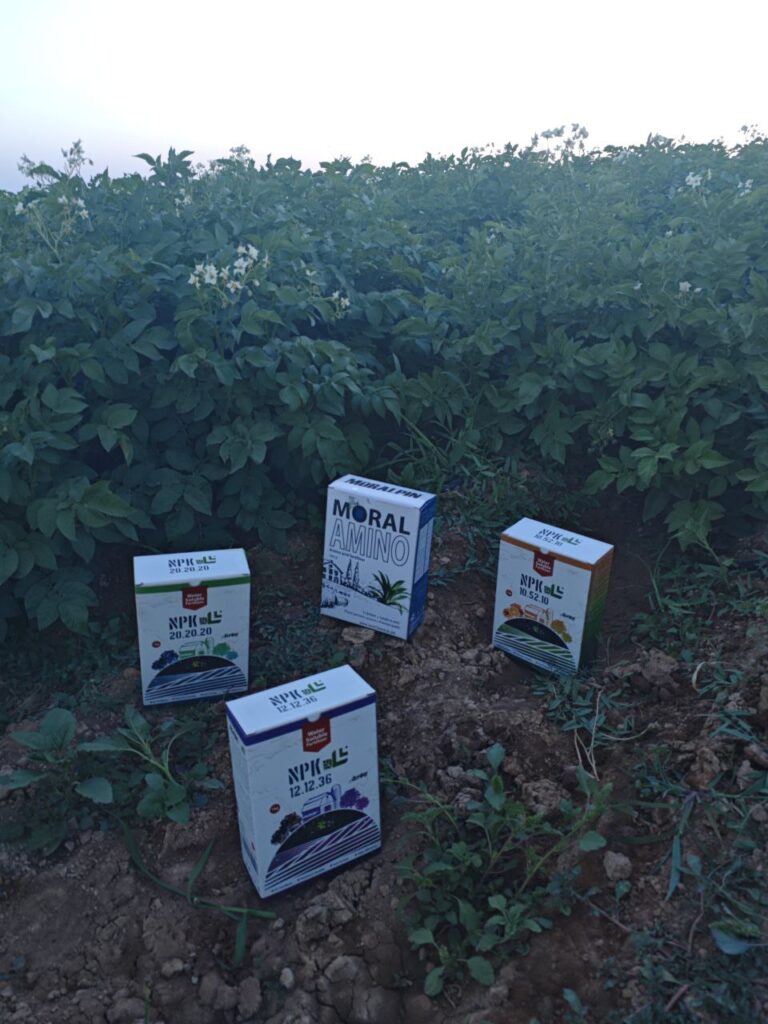 IMG_20251102_134840_974