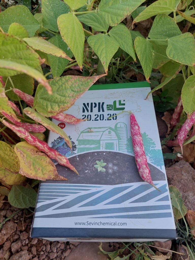 IMG_20251102_134939_688