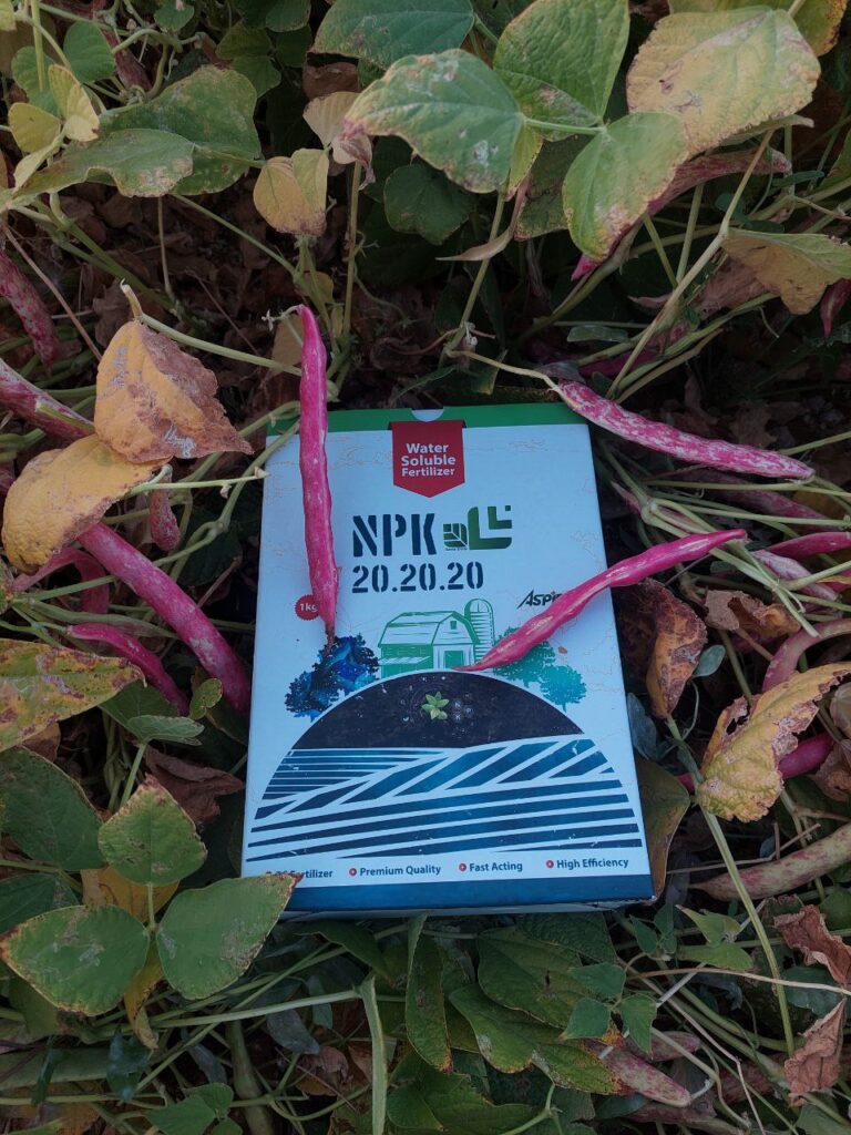 IMG_20251102_134940_310